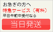 特急サービスとは？